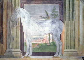 Sala dei Cavalli, detail (portret van een grijs paard uit de stallen van Ludovico Gonzaga III van Mantua, 1528)